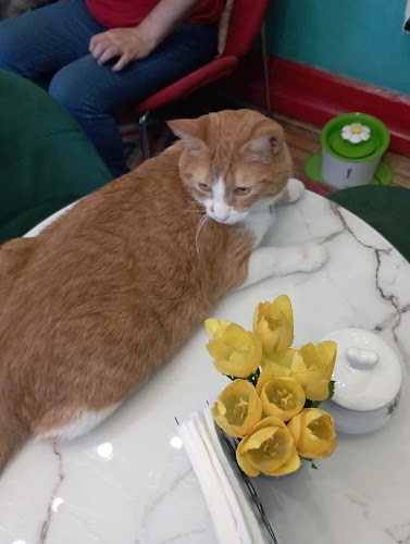 Adriana Cousiño 383, 8350745 Santiago, Región Metropolitana