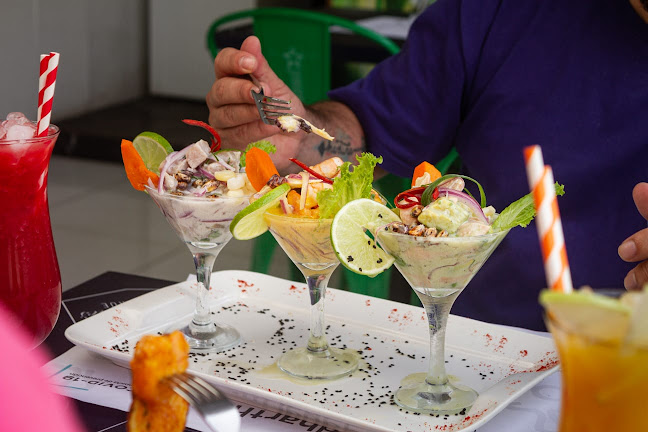 Siddhartha Lounge - Gastronomía y hostelería