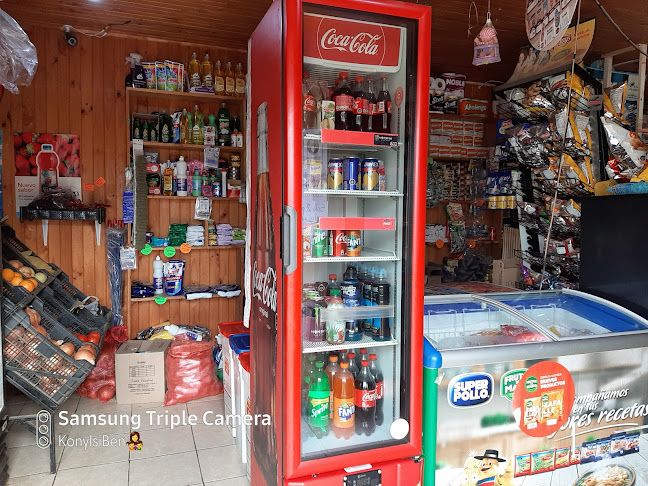 El Olivillo 1513, Traiguen, Traiguén, Araucanía