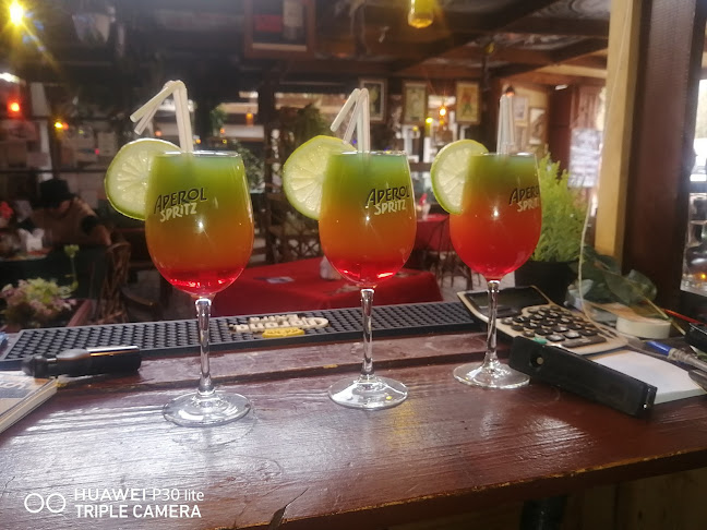 Restaurante La pousada de Vicuña - Vicuña