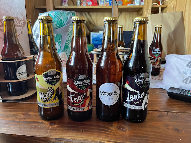Opinii despre Wenu Pillán Cervecería y Restaurante în Villarrica - Gastronomía y hostelería