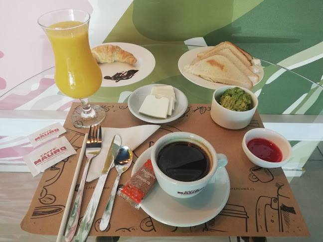 Av. Los Leones 1566, 7510571 Providencia, Región Metropolitana