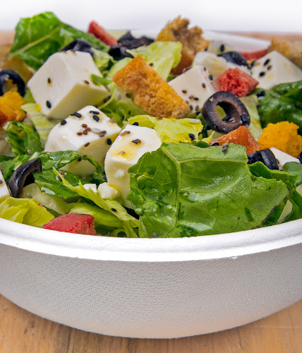 MAMMATERRA Open Times