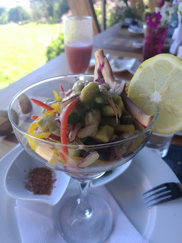 Comentarii opinii despre Manantial De Loncoyen