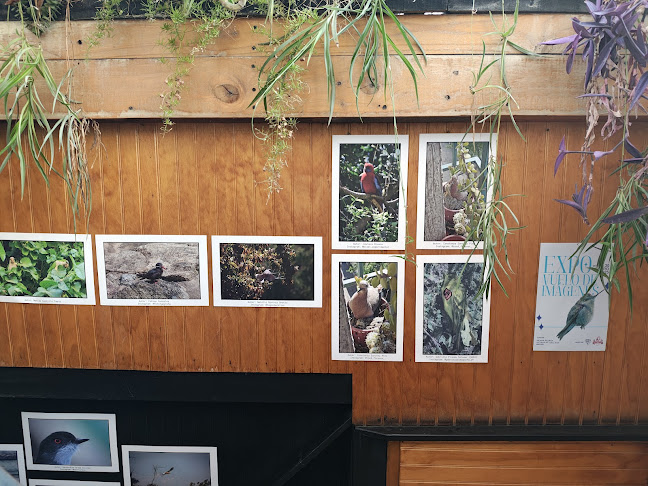 Pícara Pájara Pizzería - Santiago