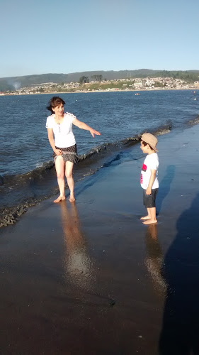 Comments and reviews of Panoramas