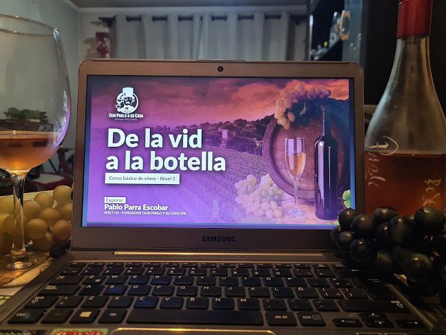 Vinos - DON PABLO Y SU CAVA - Chiguayante