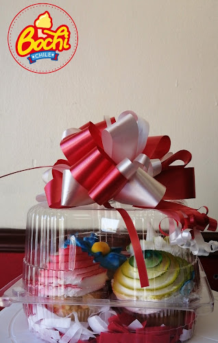 Heladería Bochi - Santiago