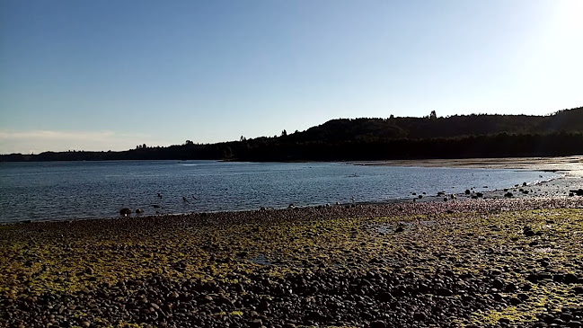 Quincho los Aromos - Calbuco