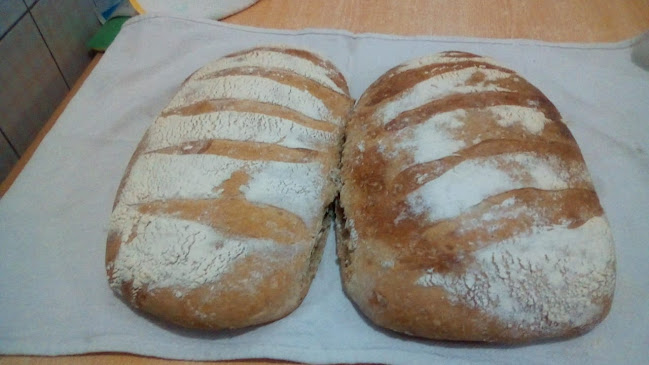 Dulce Nancy - Coquimbo