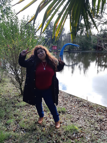 N-55 19, Pinto, Ñuble