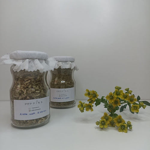 Opinii despre POPPINS în Puente Alto - Gastronomía y hostelería