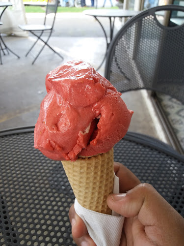 Trozo delivery - Temuco