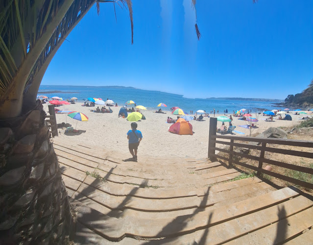 Restaurante Punta de Parra - Gastronomía y hostelería