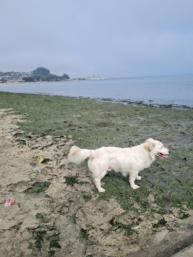 Casino Turismo (Abandonado) - Gastronomía y hostelería