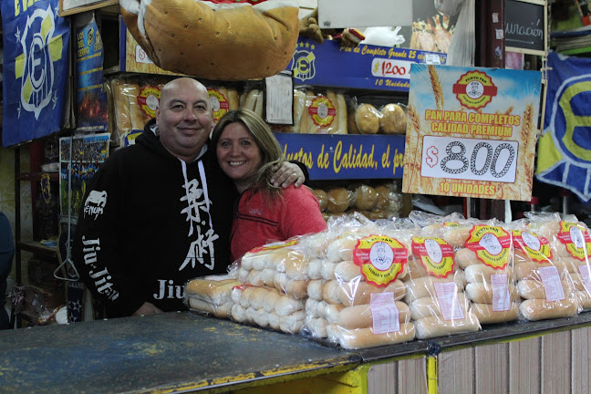 Dávila Baeza 700, Recoleta, Región Metropolitana