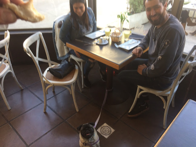 Av. San Martín 529, 2362325 Valparaíso, Viña del Mar, Valparaíso