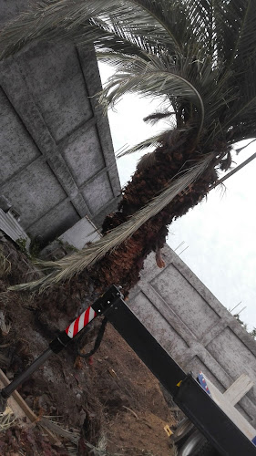 La Palmilla 4901, Conchalí, Región Metropolitana