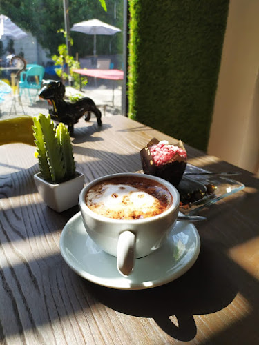 KFE dog friendly coffeeshop