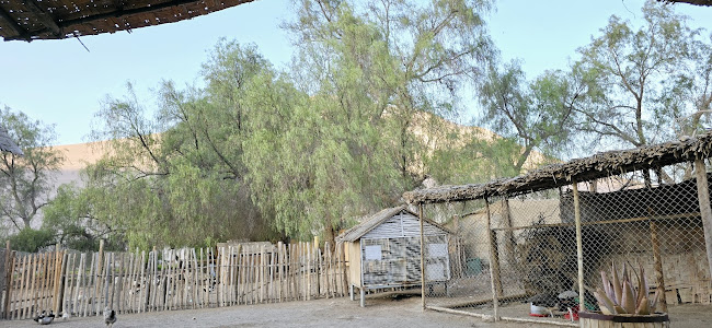 100000, 1000000, Arica y Parinacota