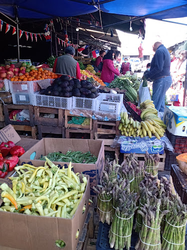 Comments and reviews of Parque Industrial