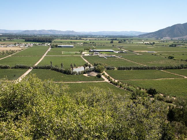 Viña Montes Alpha - Santa Cruz