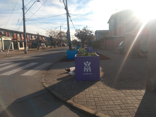 Mi-Sushi - Gastronomía y hostelería