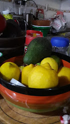 Donde Los Bruno Flores Restorán