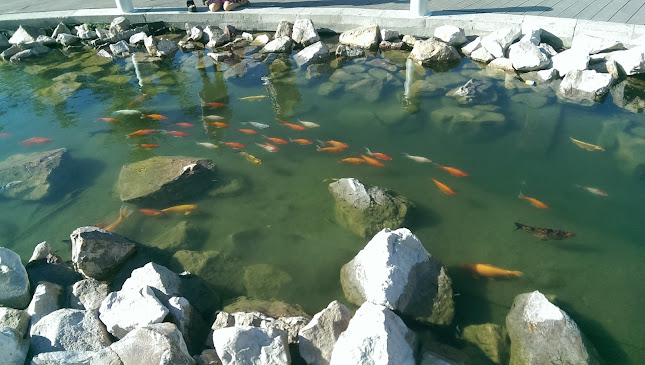 Comercial Delinuts SpA - Santiago