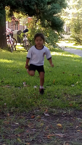 Servi Express ,Gp - Gastronomía y hostelería