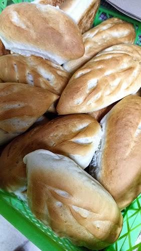 Panadería Puerto Aysén - Temuco