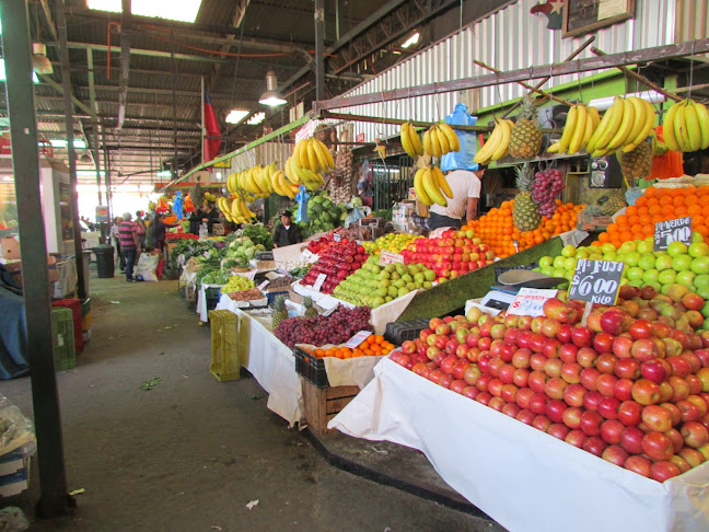 Vega Central de Santiago - Recoleta