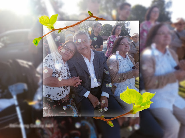 Vega Soto Ivan - Chiguayante