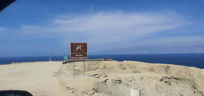 Punta Angamos - Gastronomía y hostelería