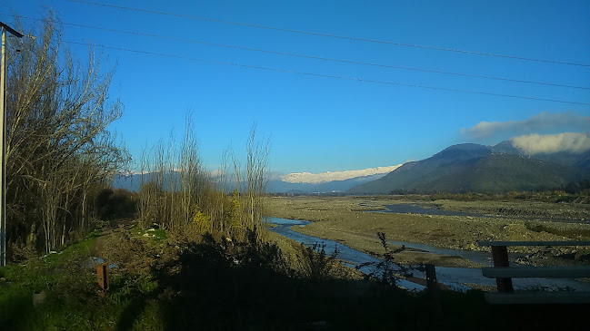 Opinii despre Empanadas El Control în Olivar - Gastronomía y hostelería