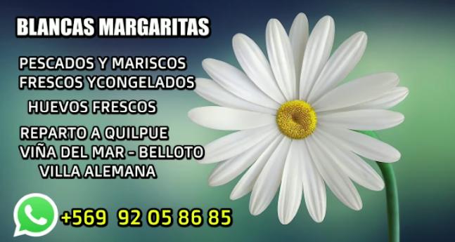 Margaritas productos mar y tierra - Gastronomía y hostelería