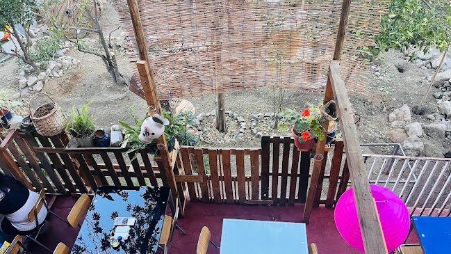 Manuel Rodriguez s/n, Pisco Elqui, Paihuano, Coquimbo