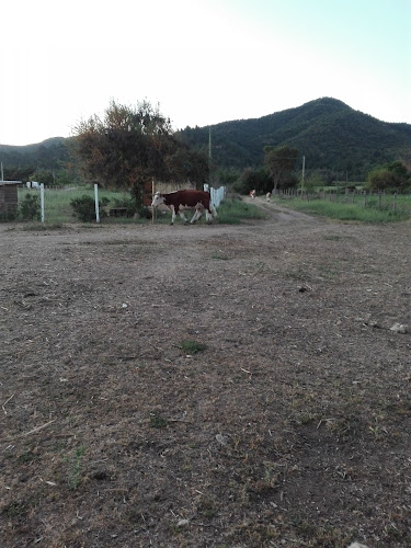 Comentarii opinii despre Cerro Alto