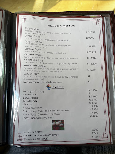 Picada comida china - Santiago