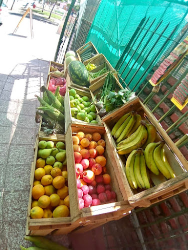 La Huerta en tu hogar - Lo Espejo