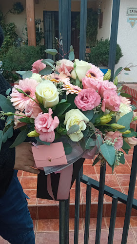 Opinii despre Distribuidora Valleflor în Independencia - Gastronomía y hostelería