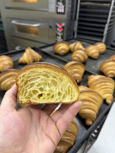 Arlegui 877, 2520000 Viña del Mar, Valparaíso