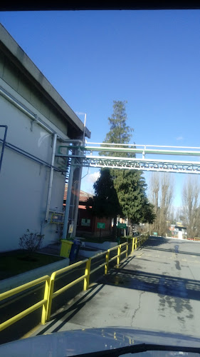 Calle Bernardo O`Higgins 900, Los Angeles, Los Ángeles, Bío Bío