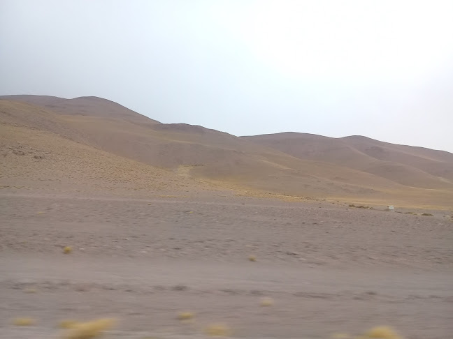 tradiciones peruanas - Calama