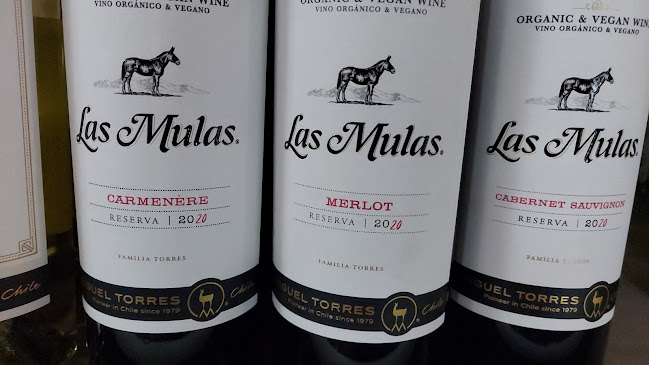 Pedro de Ona 235-295, 4650186 Angol, Araucanía