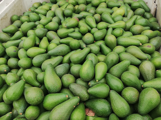 Opinii despre PINOSPALT în San Vicente de Tagua Tagua - Gastronomía y hostelería