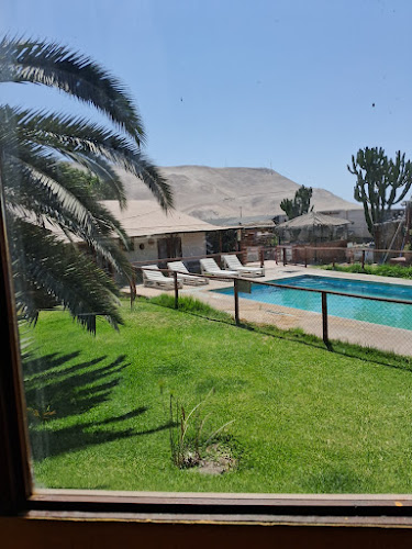 Arica, Arica y Parinacota