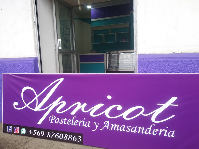 Apricot Pasteleria Y Amasanderia - Molina