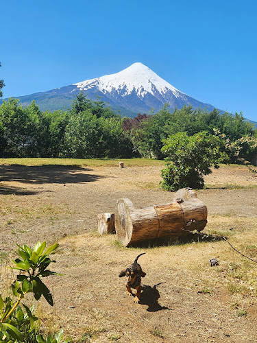 Restaurant Rincón de la Ensenada Phone number