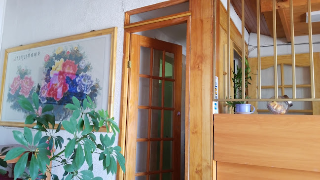 Comentarii opinii despre RESTAURANTE SUNYI " RESABRO CHINO "